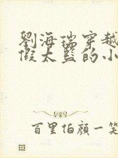 刘海瑞穿越后宫假太监的小说