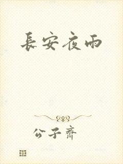 长安夜雨