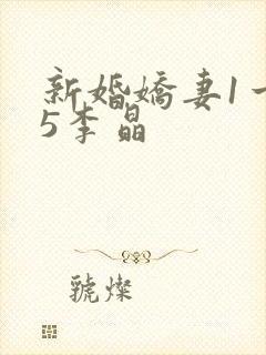 新婚娇妻1一25李晶
