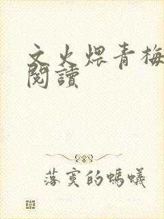文火煨青梅免费阅读