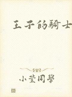 王子的骑士