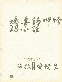 娇妻的呻吟1—28小说