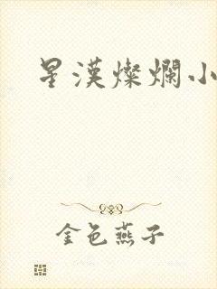 星汉灿烂小说