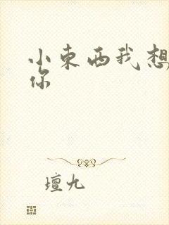 小东西我想弄坏你