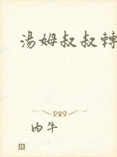 汤姆叔叔转接口