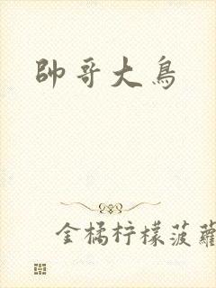 帅哥大鸟