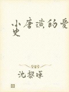 小唐璜的爱情历史