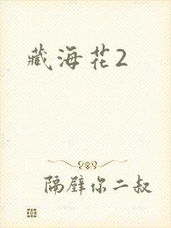 藏海花2