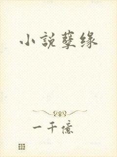 小说孽缘