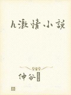h激情小说