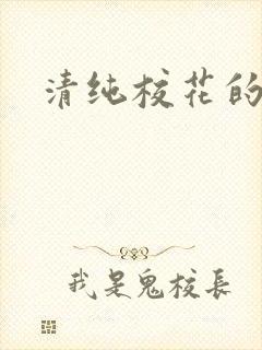 清纯校花的被