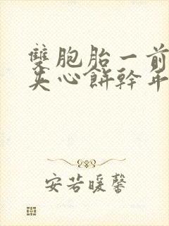 双胞胎一前一后夹心饼干年下