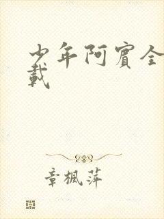 少年阿宾全集下载