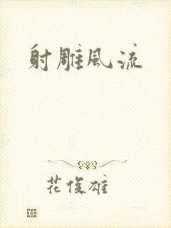 射雕风流