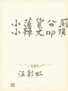 小荡货公厕h文小辣文np视频