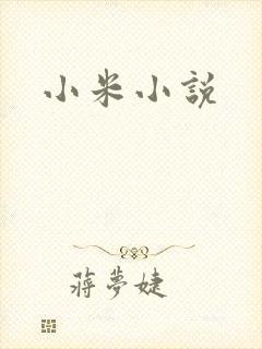 小米小说