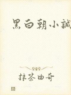 黑白朝小诚