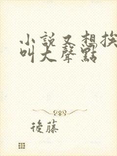 小说又想挨C了叫大声点