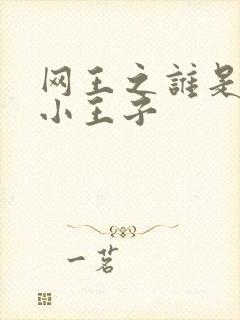 网王之谁是我的小王子