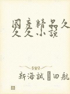 国产精品久久久久久小说