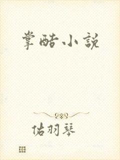 掌酷小说