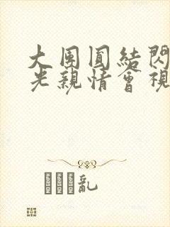 大团圆结闪闪发光亲情会视频