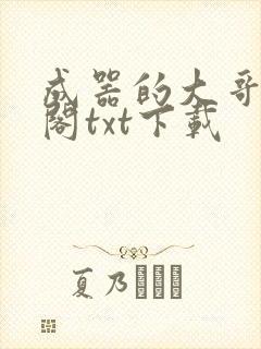 成器的大哥笔趣阁txt下载