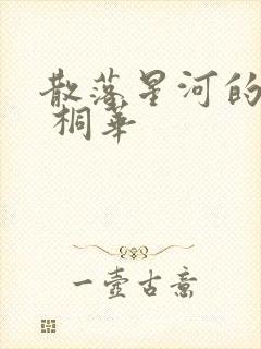 散落星河的记忆 桐华