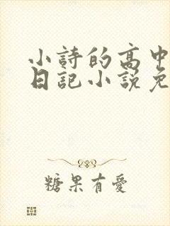 小诗的高中成长日记小说免费阅读