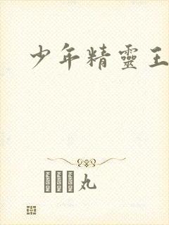 少年精灵王