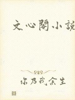 文心阁小说
