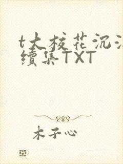 t大校花沉浮录续集TXT