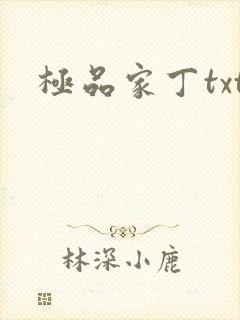 极品家丁txt