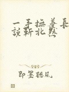 一手抚养长大小说靳北然