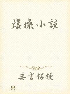 爆操小说