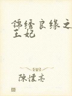 锦绣良缘之北地王妃