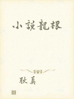 小说龙根