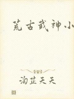 荒古武神小说