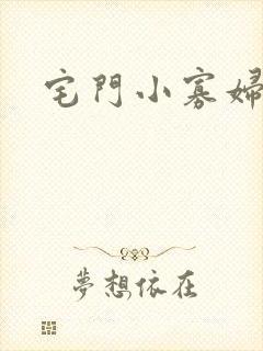 宅门小寡妇