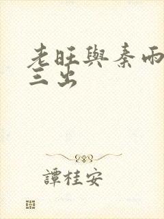 老旺与秦雨三进三出