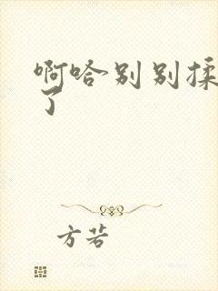 啊哈别别揉那处了