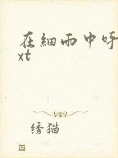 在细雨中呼喊txt