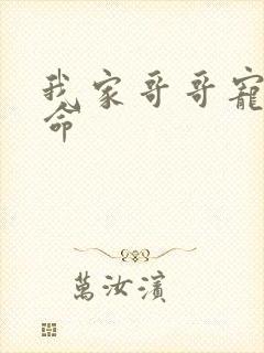 我家哥哥宠妹如命