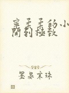 宁柔柔的小泬撑开到极致