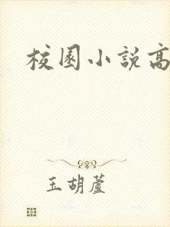 校园小说高h