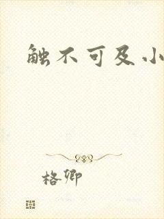 触不可及小说