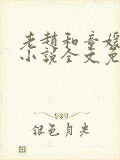 老赵和童媛媛的小说全文免费阅读