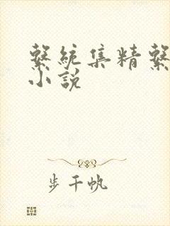 系统集精系统 小说