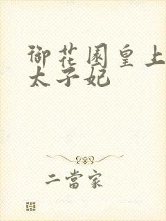 御花园皇上撞着太子妃