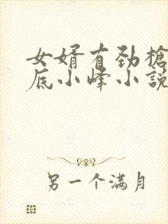 女婿有劲枪枪到底小峰小说